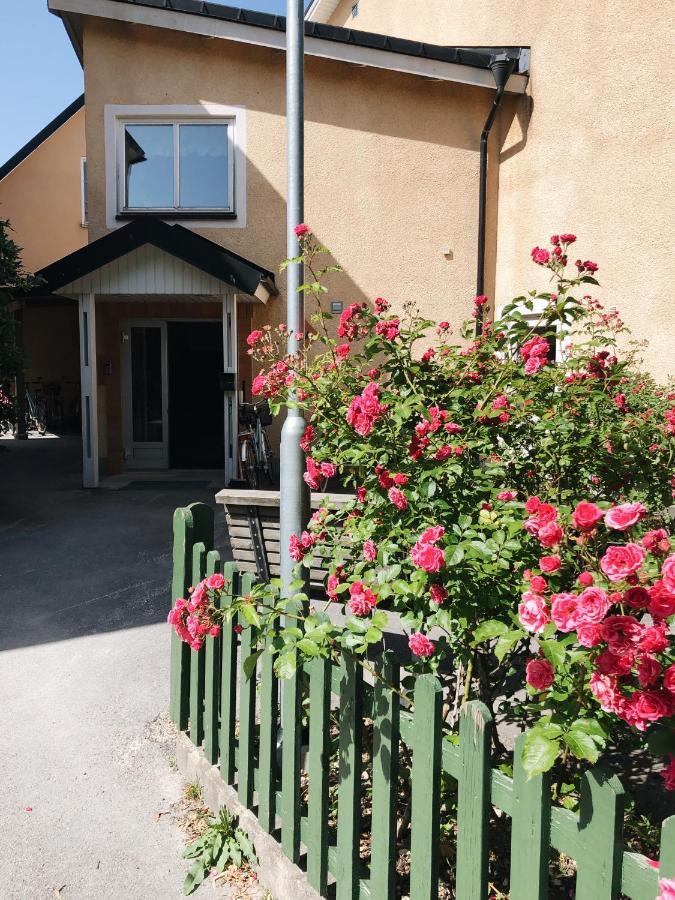Birkagatan Vandrarhem Hostel Visby Luaran gambar